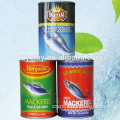 canned mackerel fish recipes in tomato sacue